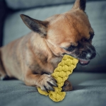 Zabawka dla zwierząt kość sznurkowa Żółty