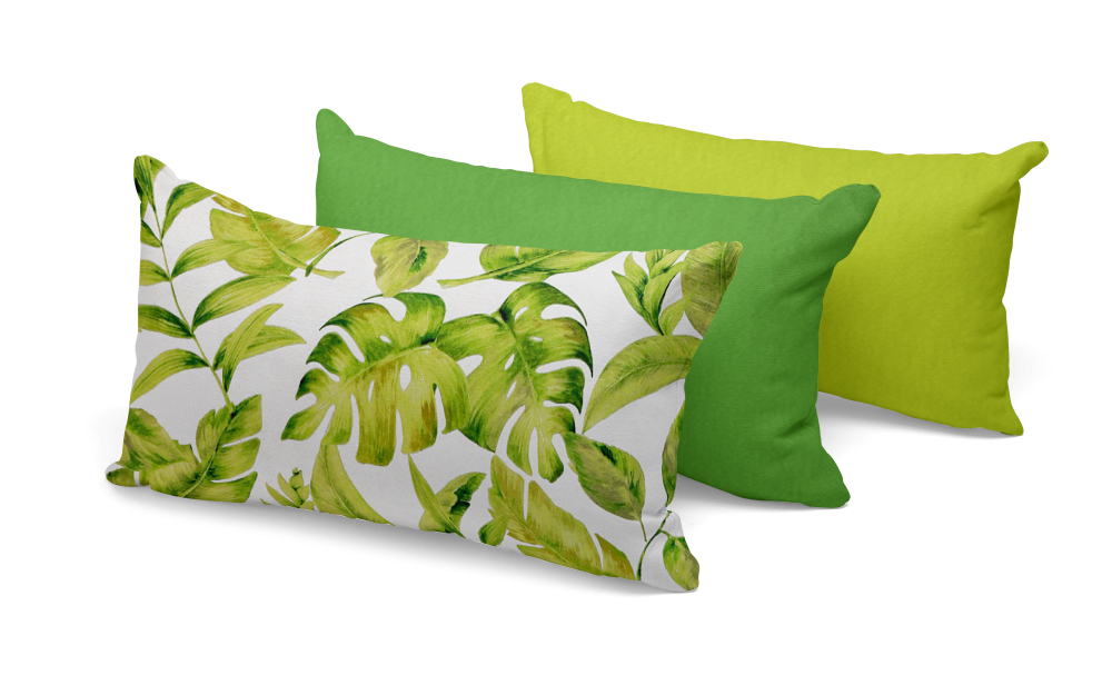 HELECHO LIMA (1).png