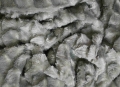 25579_90016