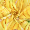 11935_102399