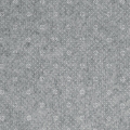 33831_101707