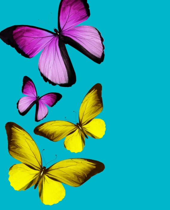 Koc BUTTERFLY 150X200CM 3D motyle Turkus