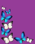 KOC BUTTERFLY 130X160CM 3D MOTYLE FIOLET
