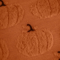 34877_105017